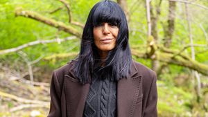 The Celebrity Traitors