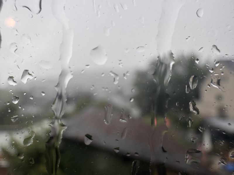 Rain