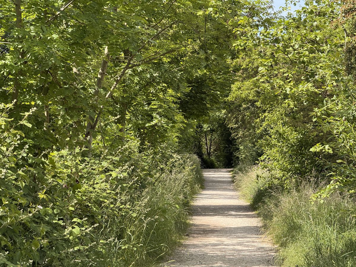 Path