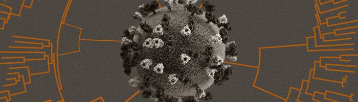Meet the people who warn the world about new covid variants