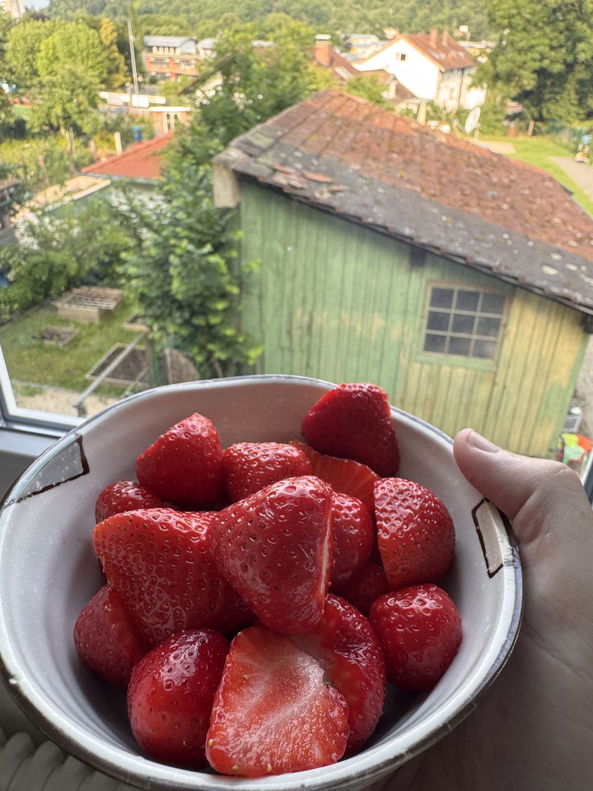 Breakfast of champions