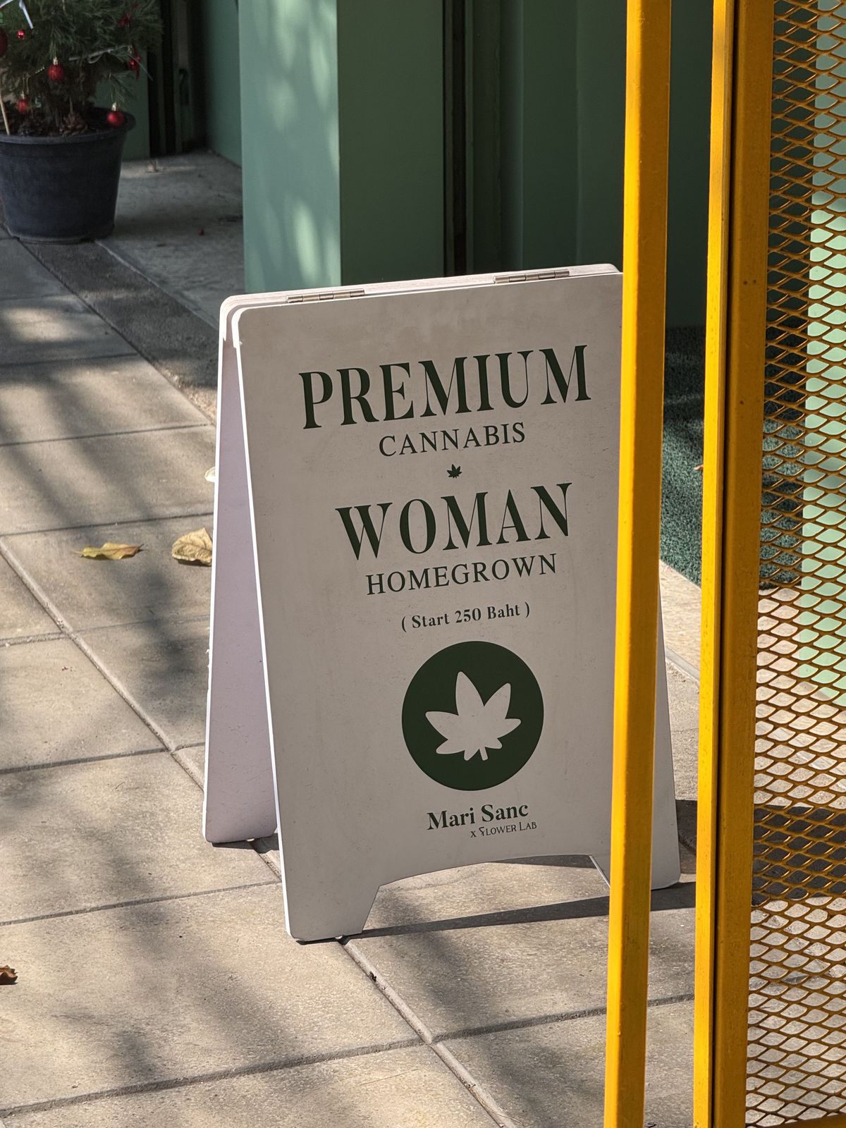 Premium Cannabis