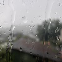 Rain