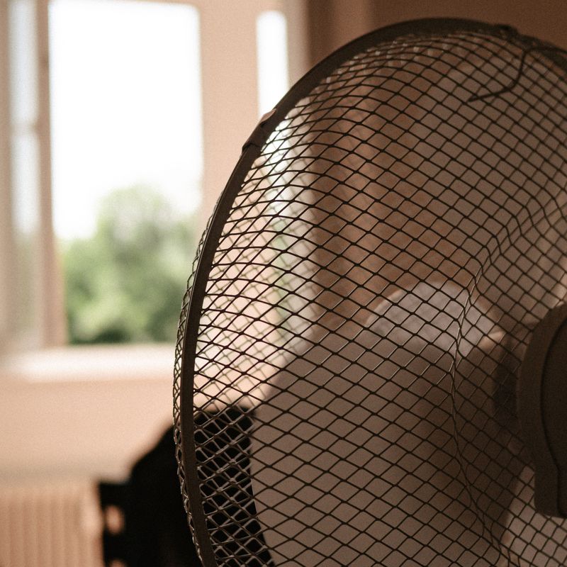 Fan