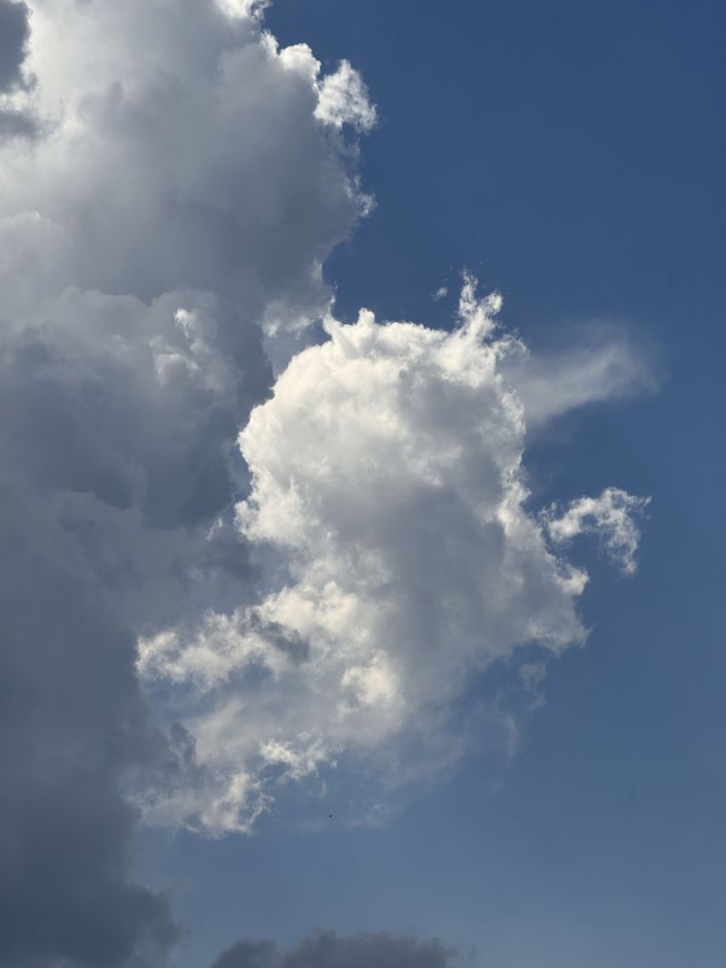 Very pretty clouds today