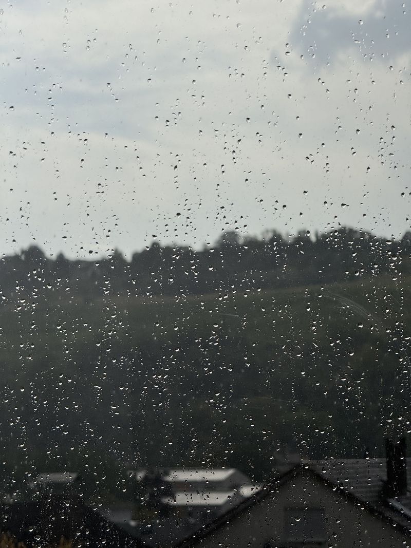 Finally: rain