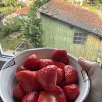 Breakfast of champions