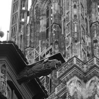 Gargoyle