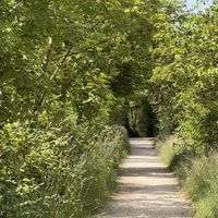 Path