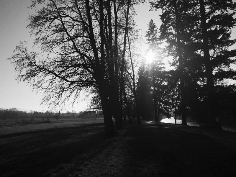 Early dusk