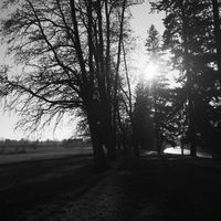 Early dusk