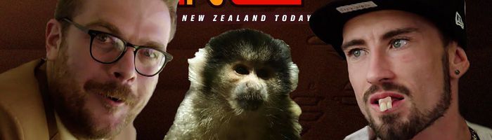 Man Steals Monkey from a Zoo | New Zealand Today - Season 2