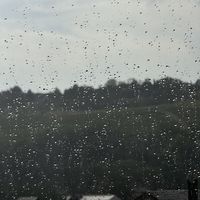 Finally: rain