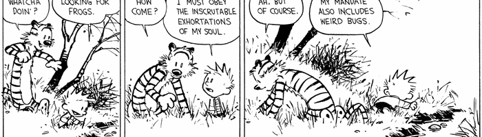 Calvin and Hobbes by Bill Watterson for March 13, 1995 | GoComics.com