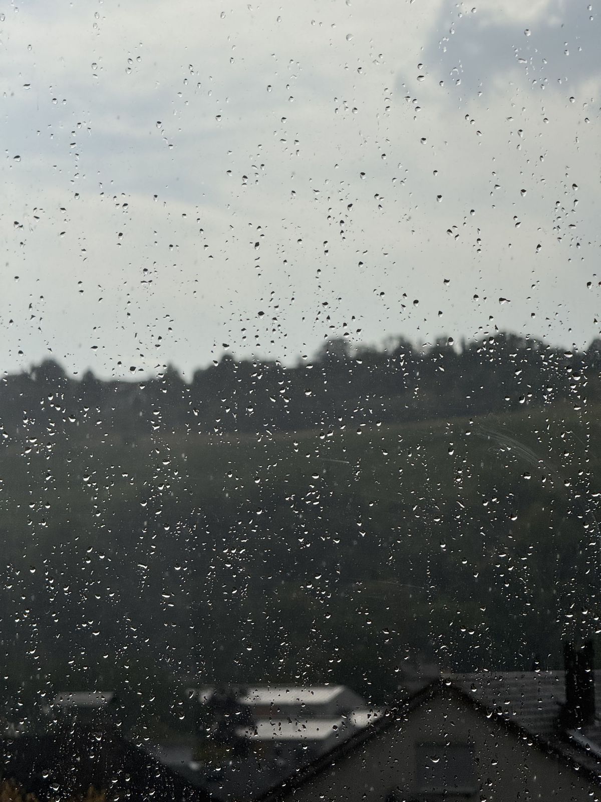 Finally: rain