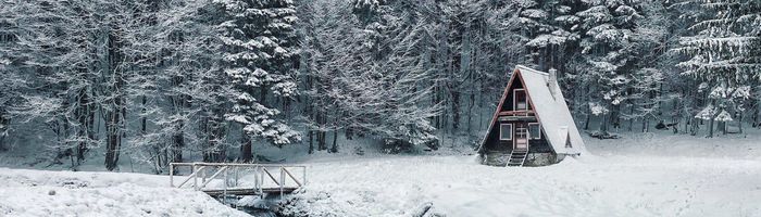 I Moved to a Remote Cabin to Write, and I Hate It