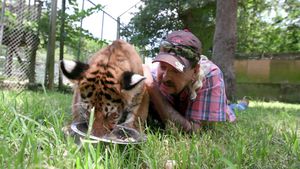 Tiger King: Murder, Mayhem and Madness