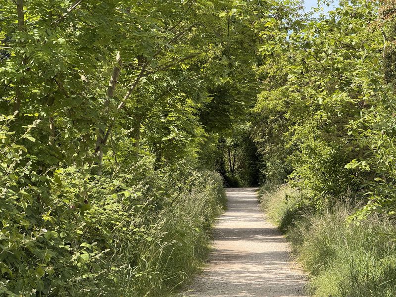 Path